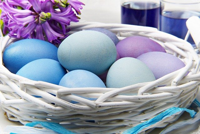 青紫の卵